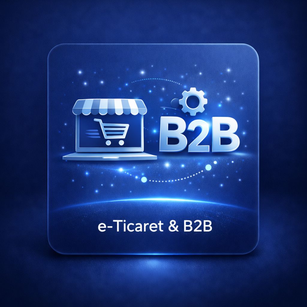 E-Ticaret B2B