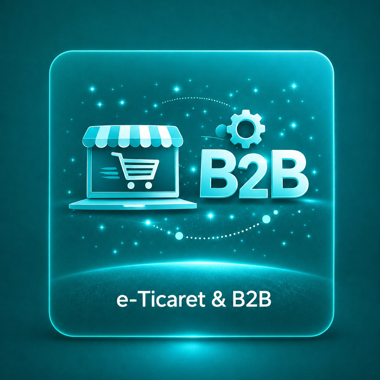 E-Ticaret B2B